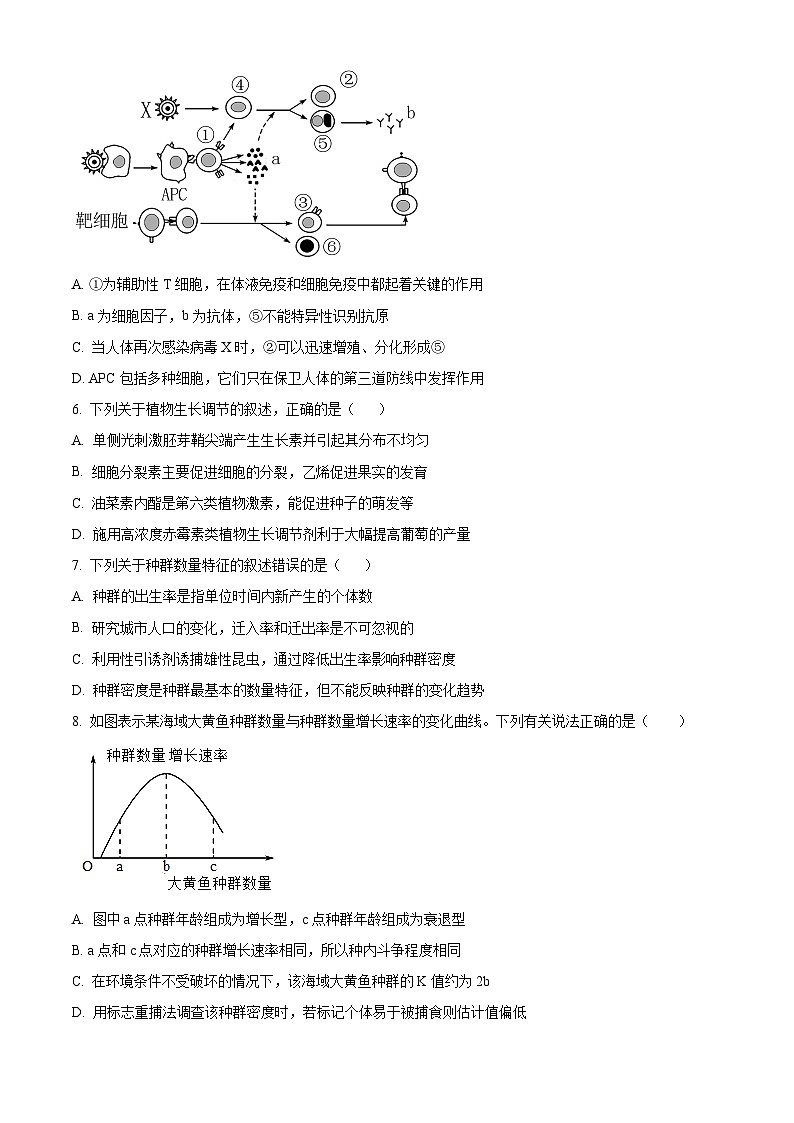 江苏省镇江市六校联考2023-2024学年高二下学期3月月考生物试题（原卷版+解析版）02