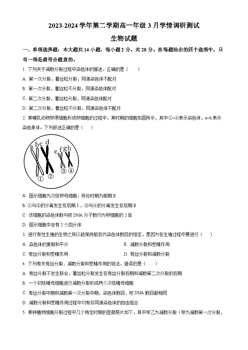精品解析：江苏省扬州市高邮市2023-2024学年高一下学期3月月考生物试题（原卷版）第1页