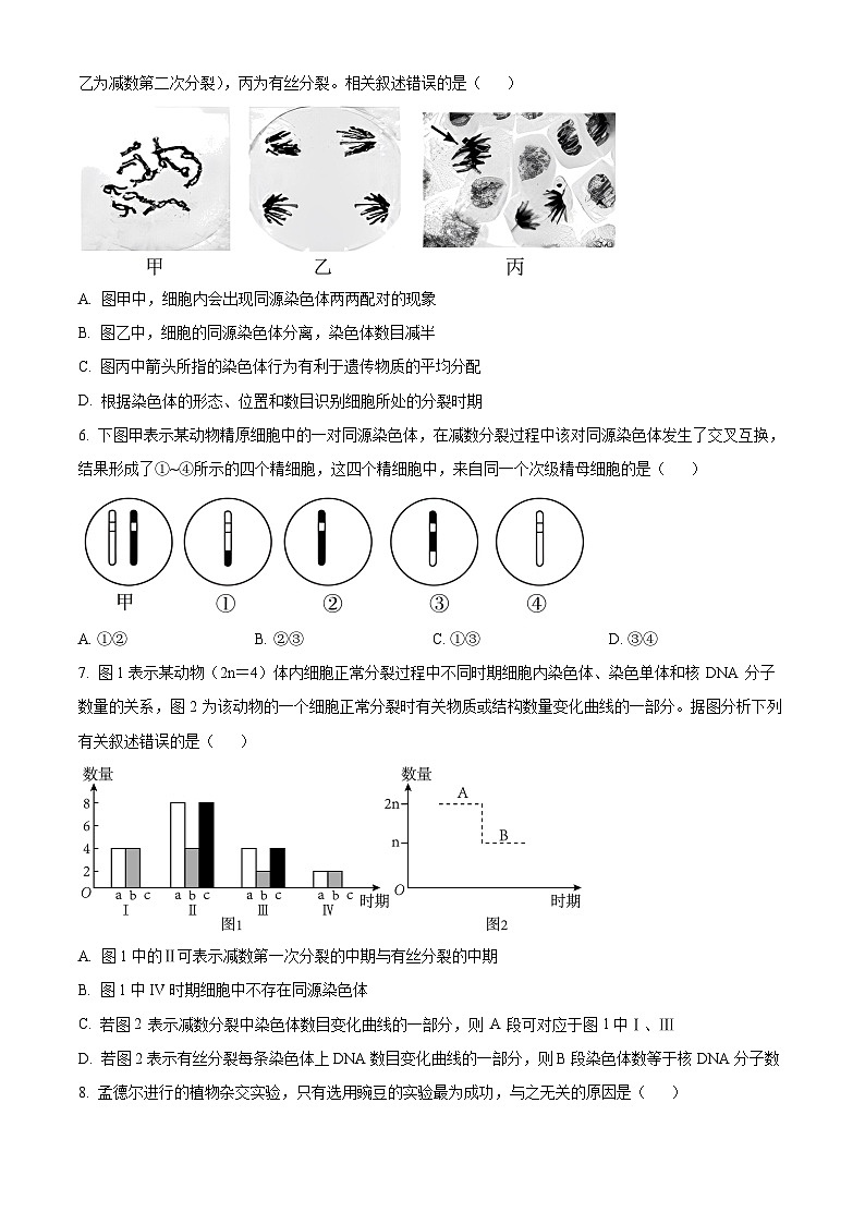 精品解析：江苏省扬州市高邮市2023-2024学年高一下学期3月月考生物试题（原卷版）第2页
