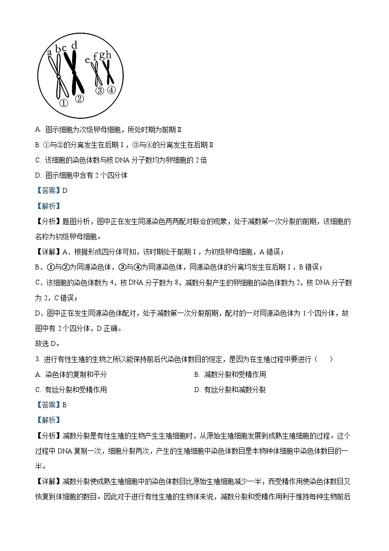 精品解析：江苏省扬州市高邮市2023-2024学年高一下学期3月月考生物试题（解析版）第2页