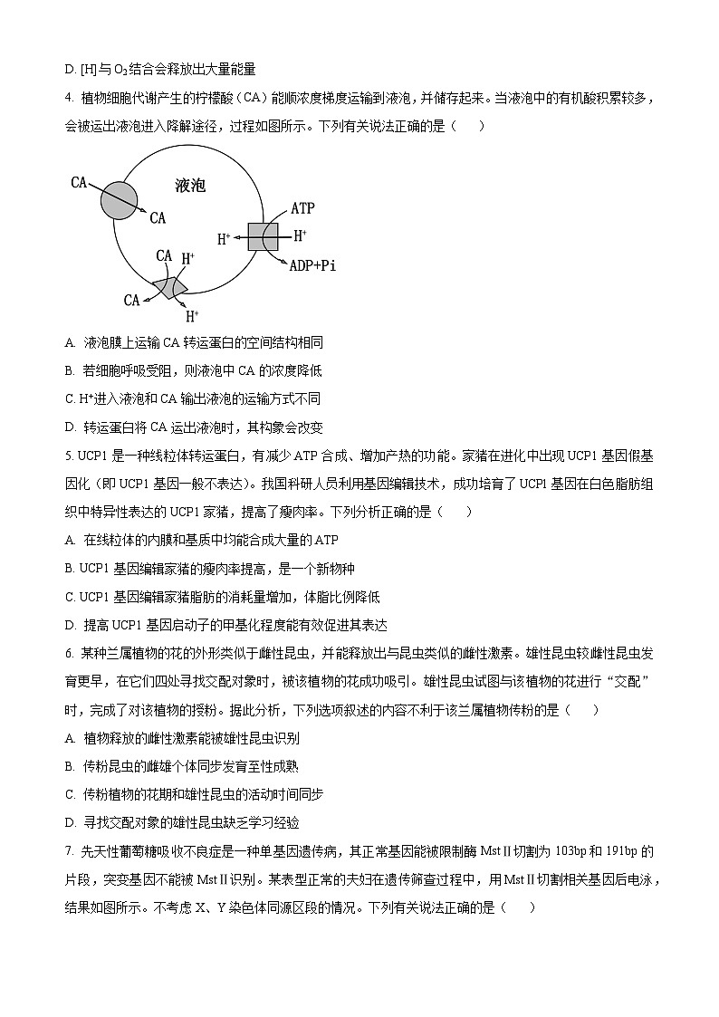 辽宁省锦州市某校2023-2024学年高三下学期3月摸底考试生物试题（原卷版+解析版）02