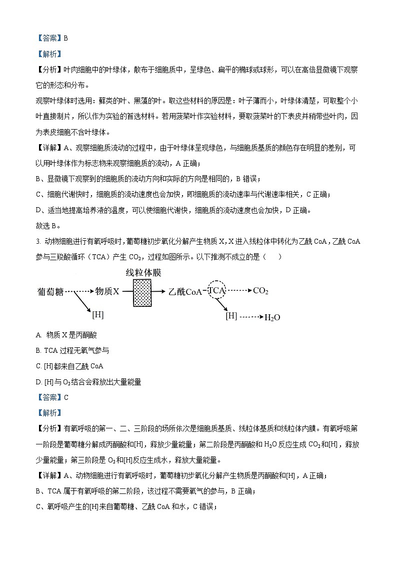 辽宁省锦州市某校2023-2024学年高三下学期3月摸底考试生物试题（原卷版+解析版）02