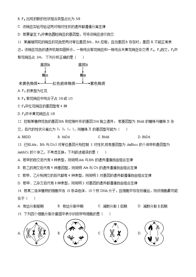 山西省临汾市2023—2024学年高一下学期3月月考试生物试题（原卷版+解析版）03