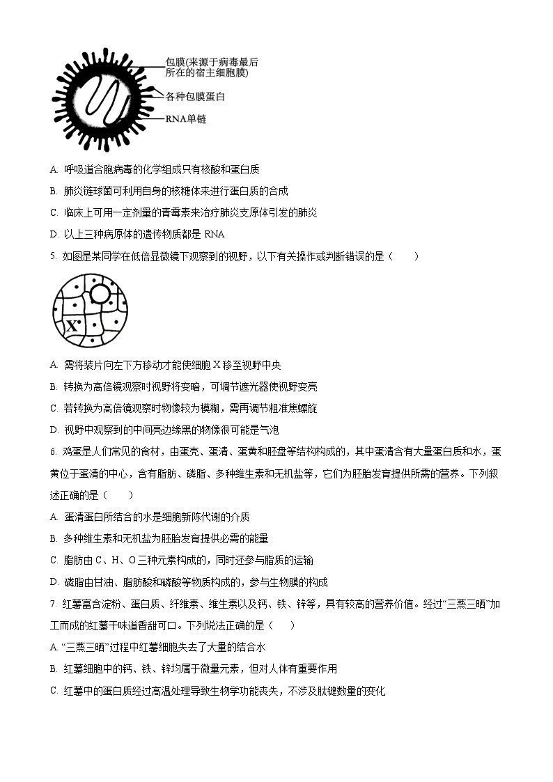 四川省成都市金牛区成都外国语学校2023-2024学年高二下学期3月月考生物试题（原卷版+解析版）02