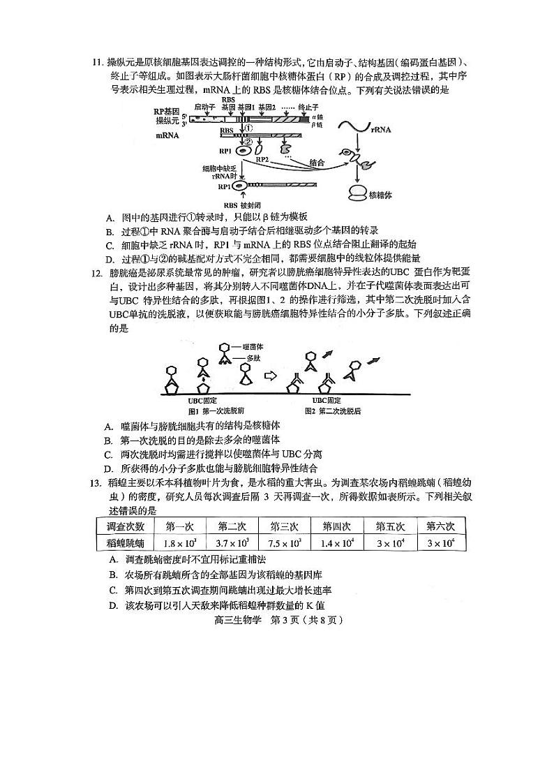 福建省龙岩市2023届高三生物下学期3月教学质量检测试题pdf03