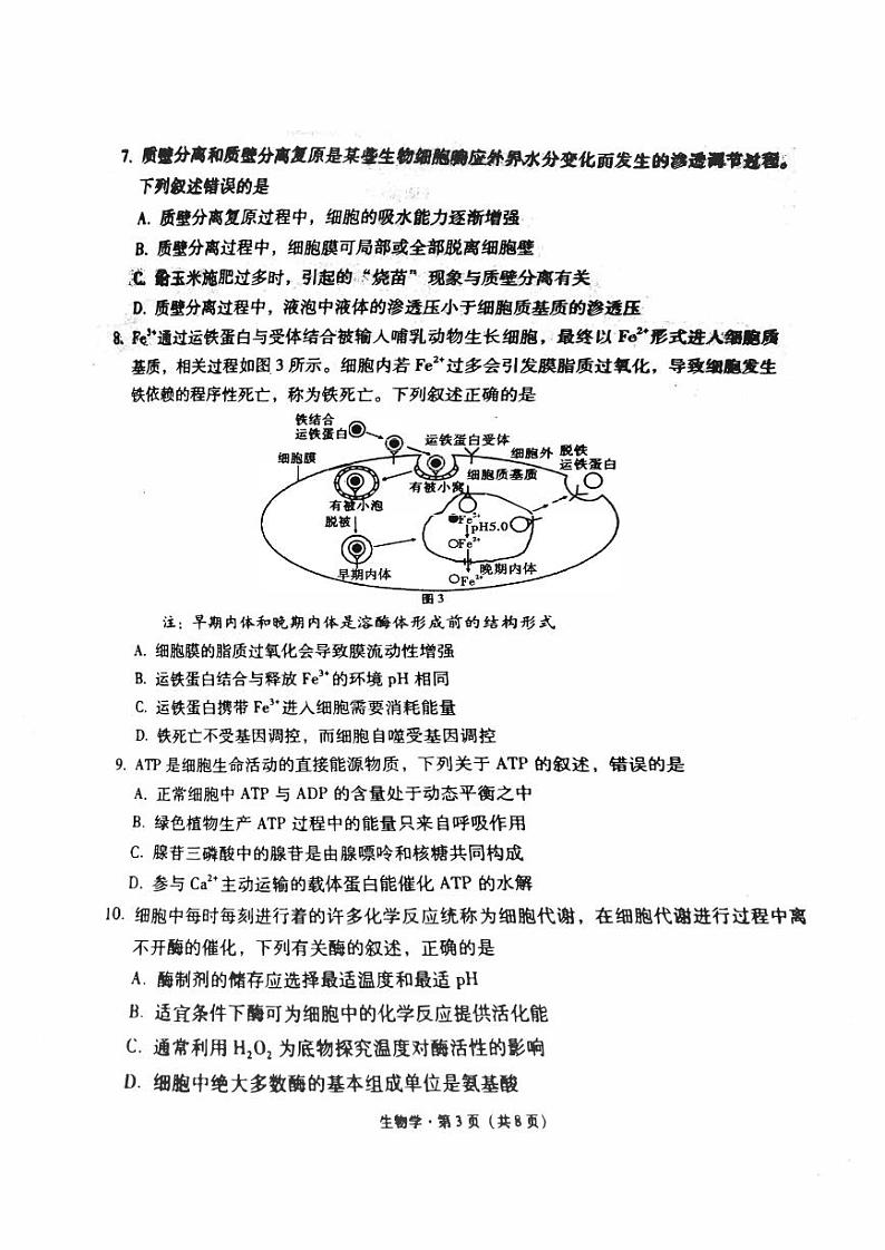 贵州省贵阳2023_2024高三生物试上学期高考适应性月考试题一pdf03
