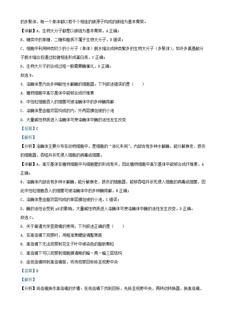 宁夏中卫市中宁县2022_2023学年高三生物上学期10月月考试题含解析03