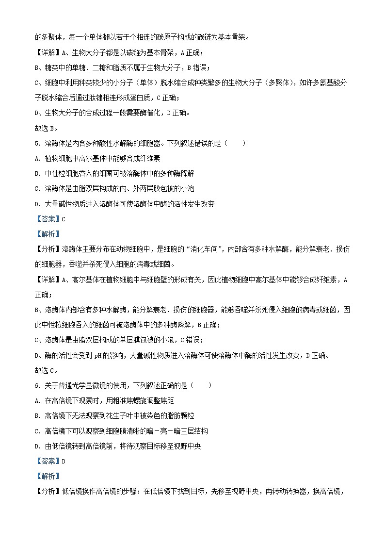 宁夏中卫市中宁县2022_2023学年高三生物上学期10月月考试题含解析03