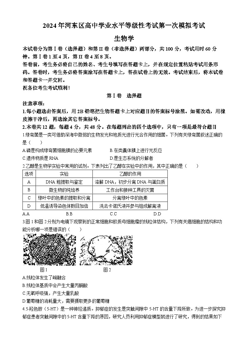 2024届天津市河东区高三下学期一模考试生物试题01