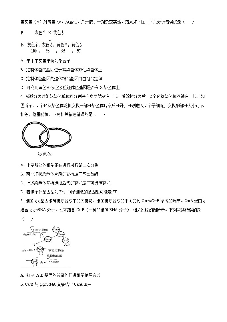 北京市延庆区2024届高三下学期3月一模试题 生物 Word版含解析02