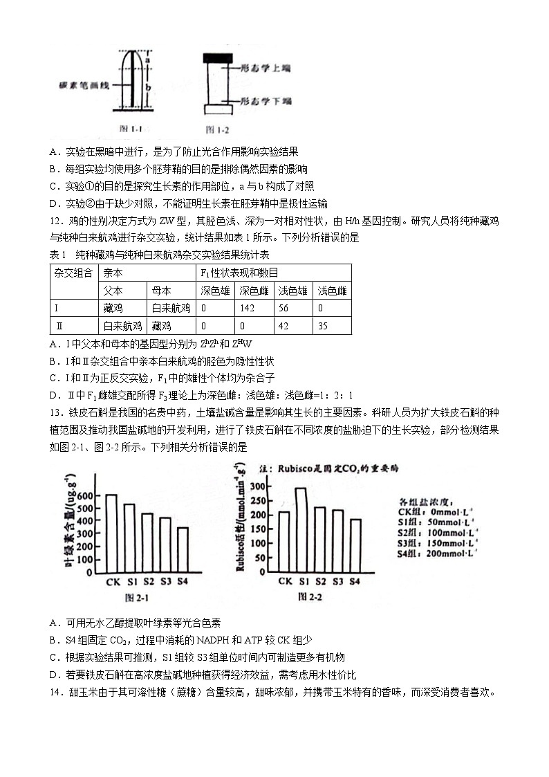 2024届广西柳州市高三下学期第三次模拟考试生物试题03