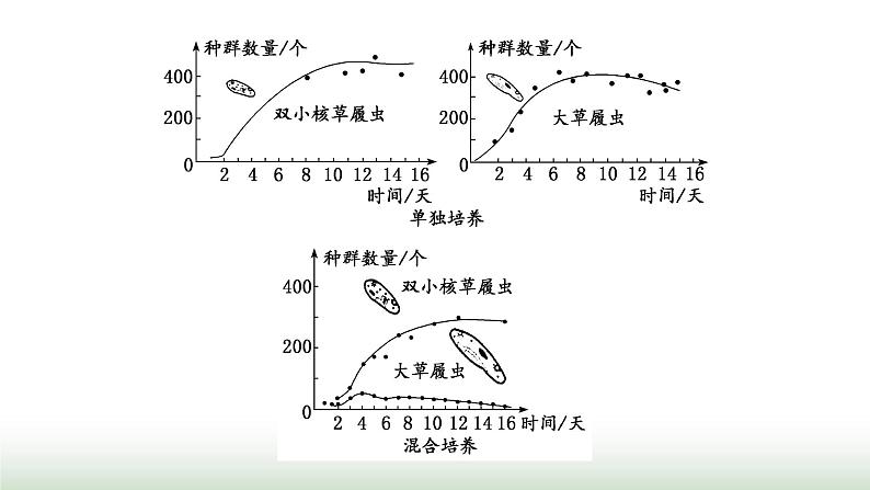 人教版高中生物选择性必修2第一章第三节影响种群数量变化的因素课件第8页