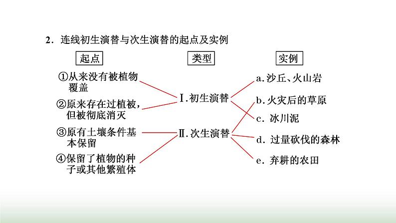 人教版高中生物选择性必修2第二章第三节群落的演替课件08