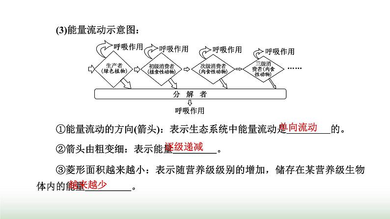 人教版高中生物选择性必修2第三章第二节生态系统的能量流动课件第4页