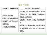 人教版高中生物选择性必修2第四章第三节生态工程课件