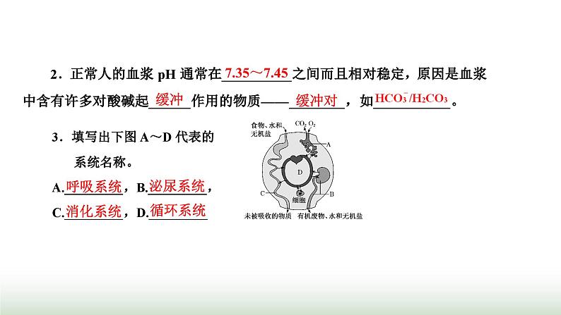 人教版高中生物选择性必修1第1章人体的内环境与稳态第2节内环境的稳态课件第5页