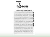 人教版高中生物选择性必修1第2章神经调节第1节神经调节的结构基础课件