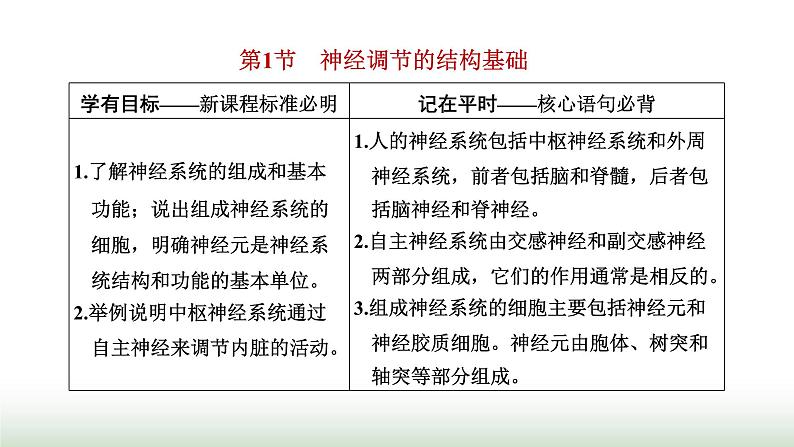 人教版高中生物选择性必修1第2章神经调节第1节神经调节的结构基础课件02