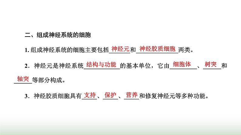 人教版高中生物选择性必修1第2章神经调节第1节神经调节的结构基础课件04