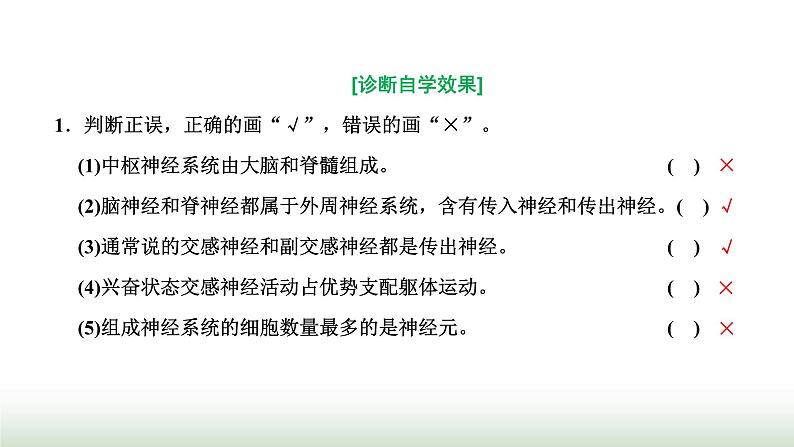 人教版高中生物选择性必修1第2章神经调节第1节神经调节的结构基础课件05