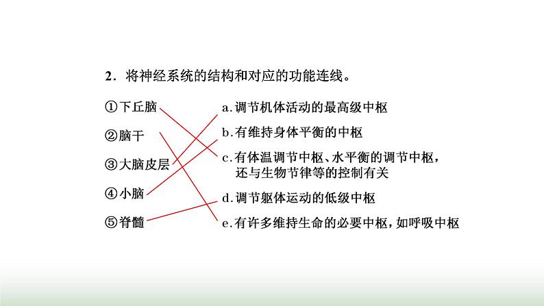 人教版高中生物选择性必修1第2章神经调节第1节神经调节的结构基础课件06