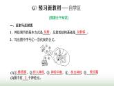 人教版高中生物选择性必修1第2章神经调节第2节神经调节的基本方式课件