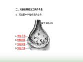 人教版高中生物选择性必修1第2章神经调节第3节神经冲动的产生和传导课件