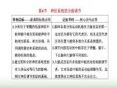 人教版高中生物选择性必修1第2章神经调节第4节神经系统的分级调节课件