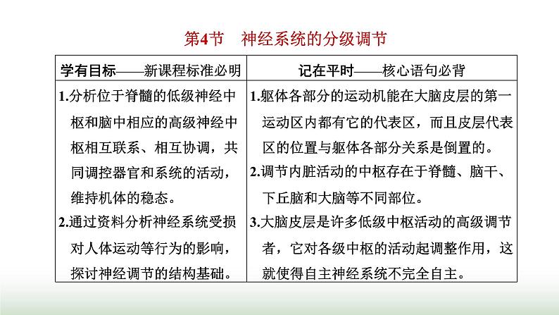 人教版高中生物选择性必修1第2章神经调节第4节神经系统的分级调节课件01