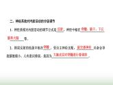 人教版高中生物选择性必修1第2章神经调节第4节神经系统的分级调节课件