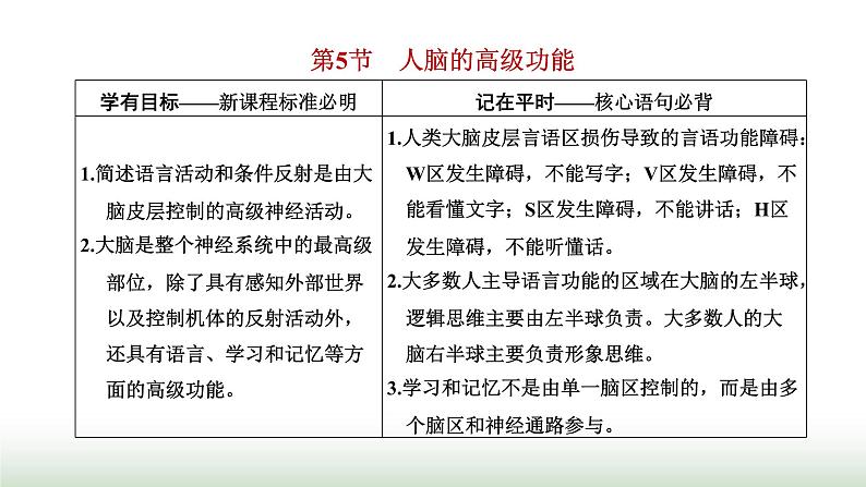 人教版高中生物选择性必修1第2章神经调节第5节人脑的高级功能课件01