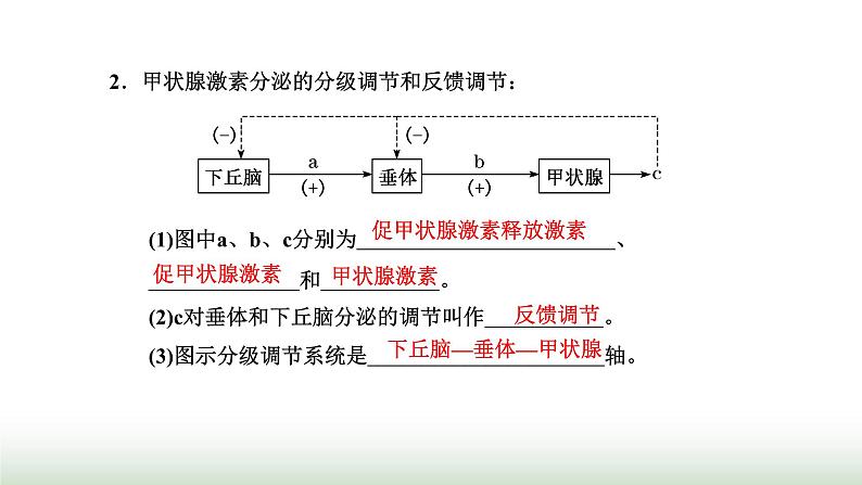 人教版高中生物选择性必修1第3章体液调节第2节激素调节的过程课件03