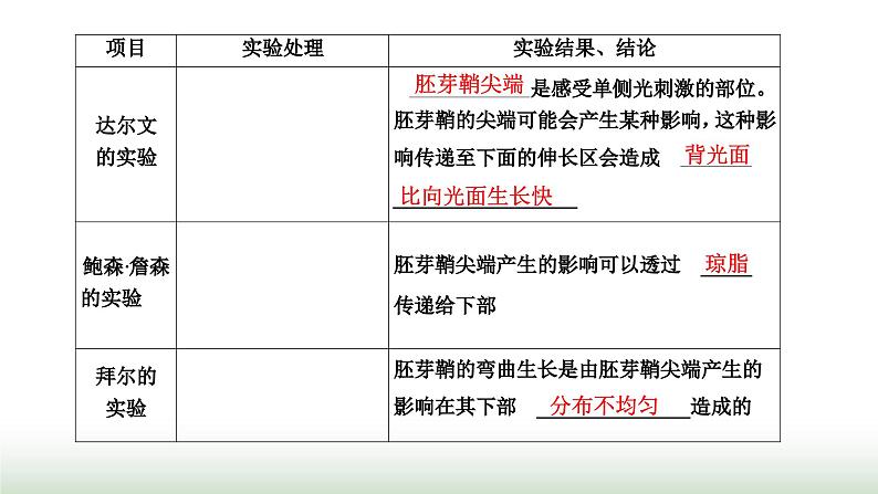 人教版高中生物选择性必修1第5章植物生命活动的调节第1节植物生长素课件04