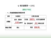 人教版高中生物选择性必修1第5章植物生命活动的调节第2节其他植物激素课件