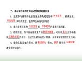 人教版高中生物选择性必修1第5章植物生命活动的调节第4节环境因素参与调节植物的生命活动课件