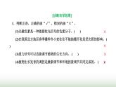 人教版高中生物选择性必修1第5章植物生命活动的调节第4节环境因素参与调节植物的生命活动课件