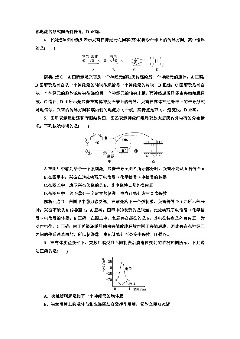 人教版高中生物选择性必修1课时跟踪检测（五）神经冲动的产生和传导含答案02