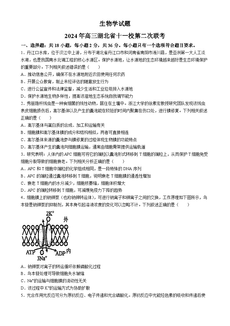 湖北省十一校2023-2024学年高三下学期第二次联考生物试卷Word版含答案答题卡01