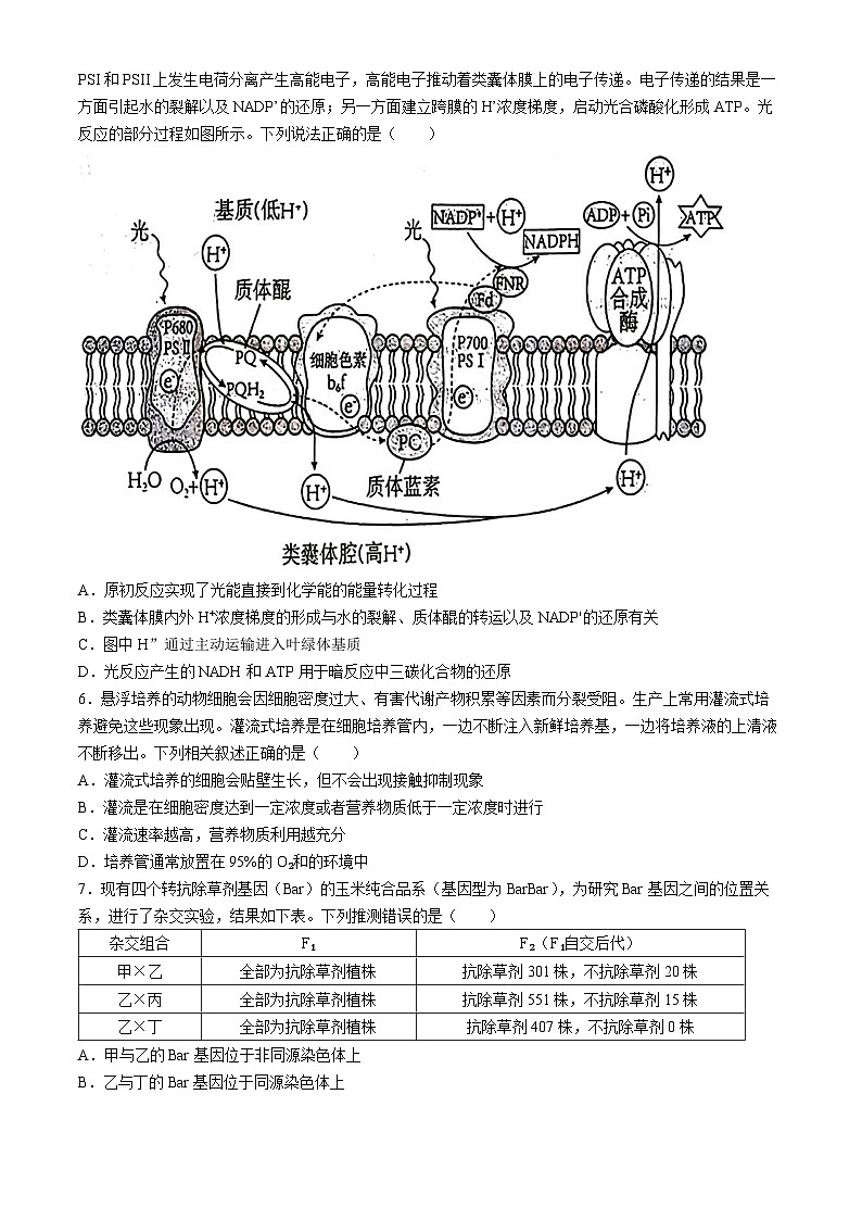 湖北省十一校2023-2024学年高三下学期第二次联考生物试卷Word版含答案答题卡02