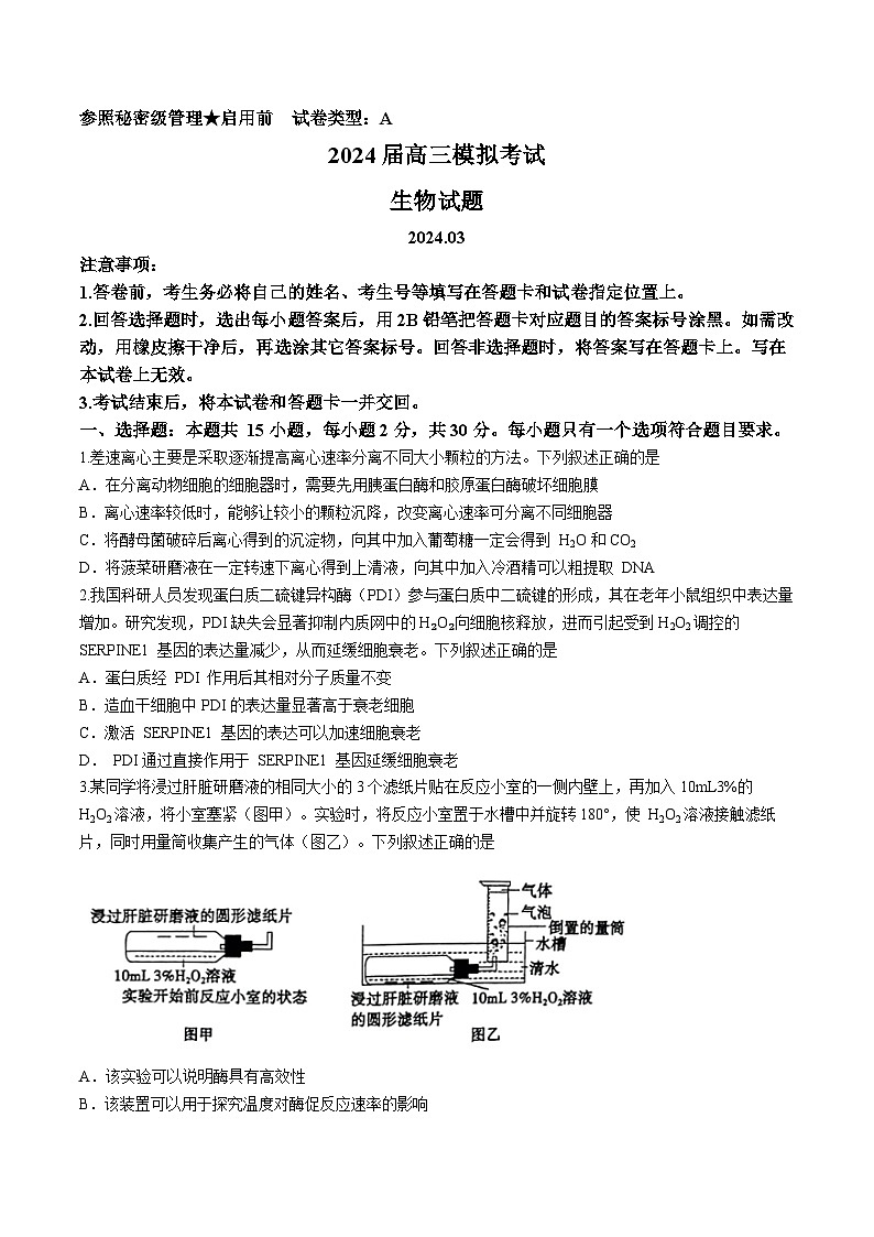 2024届山东省枣庄市高三下学期二模考试 生物试题01