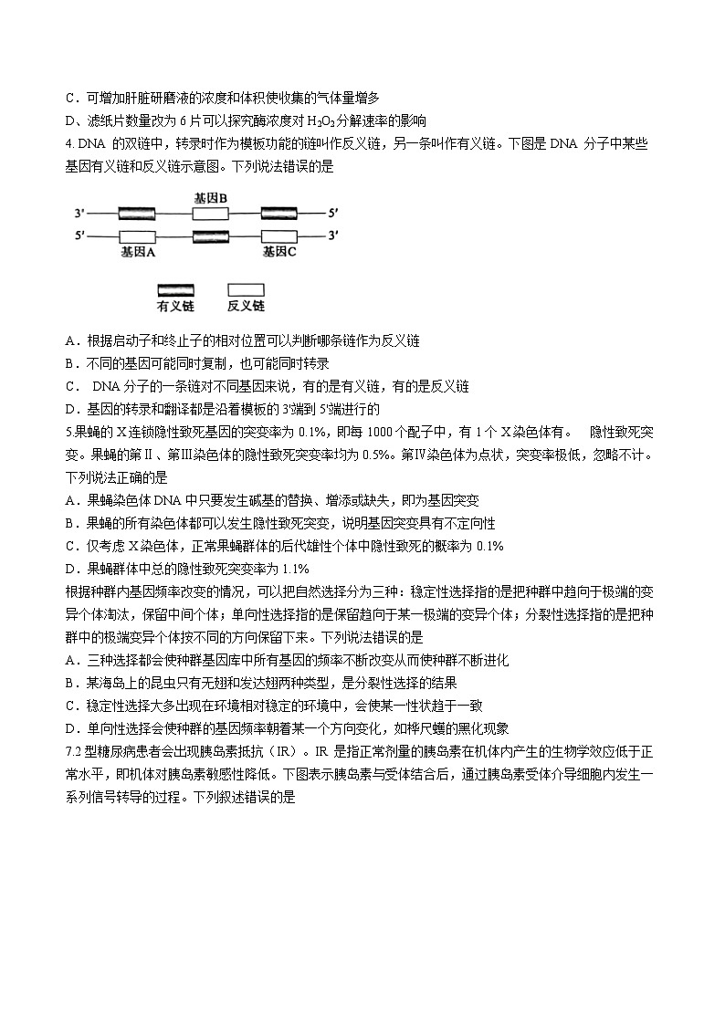 2024届山东省枣庄市高三下学期二模考试 生物试题02