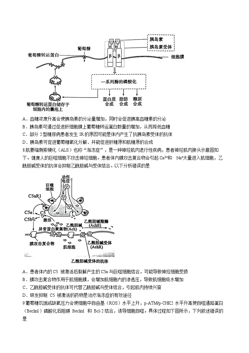 2024届山东省枣庄市高三下学期二模考试 生物试题03