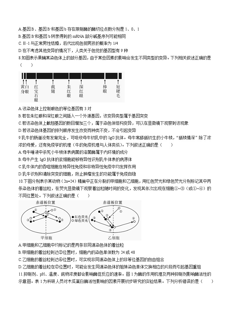 湖南省邵阳市2024届高三下学期二模生物试题 Word版含答案03