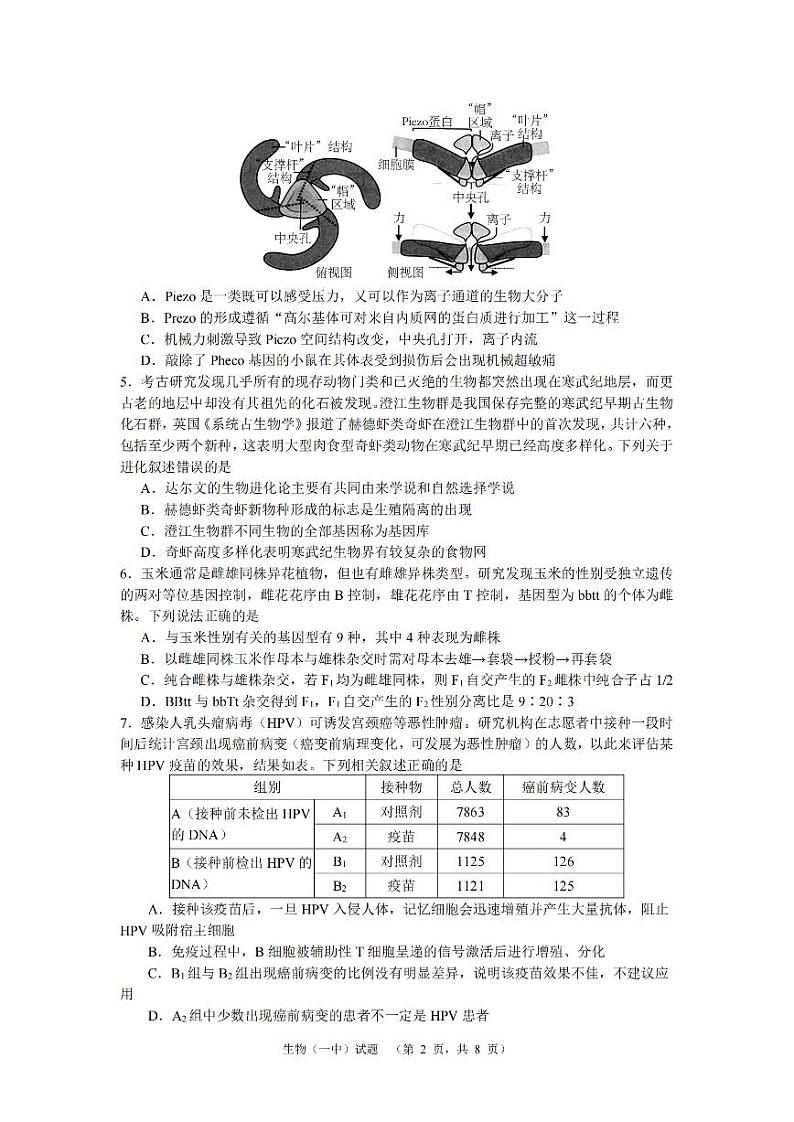 湖南省长沙市第一中2024届高三下学期高考适应性演练（一）生物02
