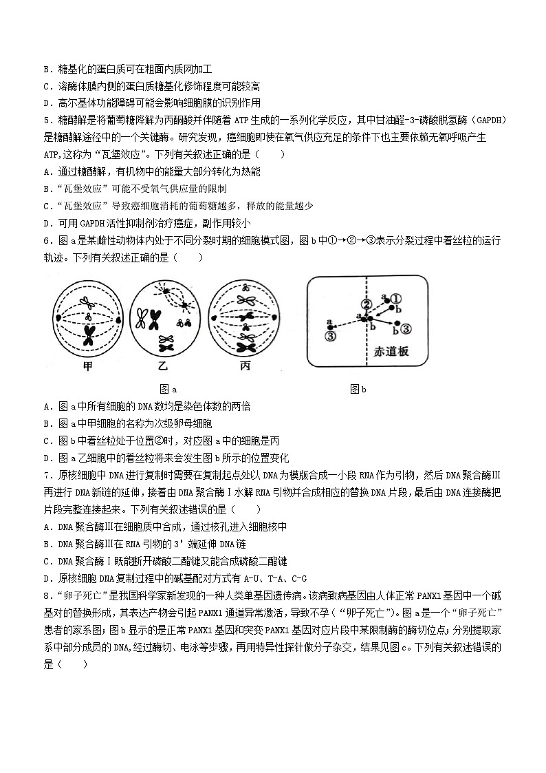 重庆市南开中学校2023-2024学年高三下学期第七次质量检测生物试题+答2第2页
