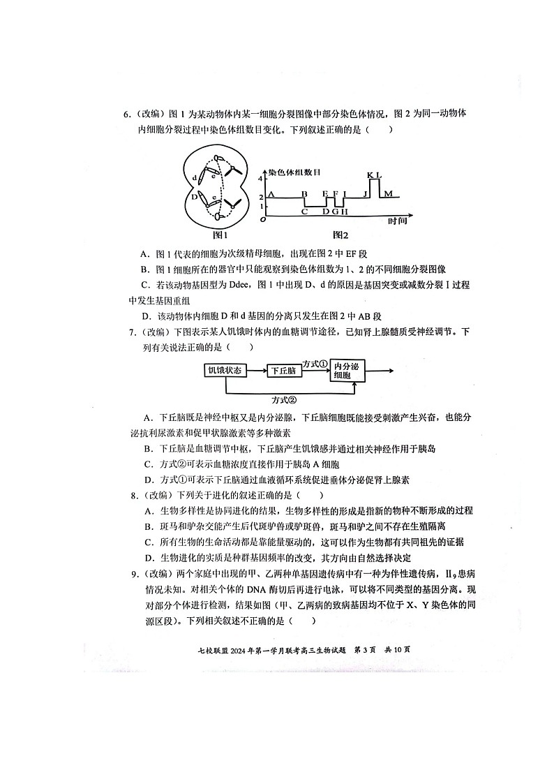 重庆市七校联盟2023-2024学年高三下学期第一次月考生物试题03