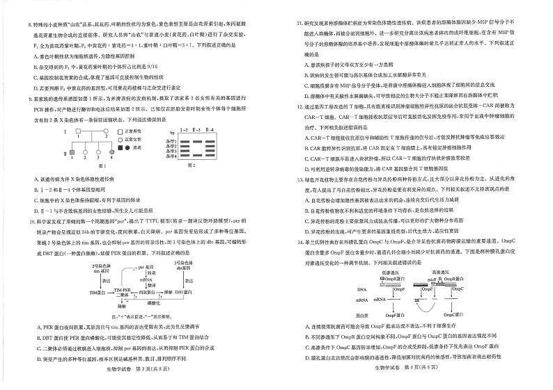 湖北省圆创高中名校联盟2024届高三下学期3月联合测评生物试题及答案02