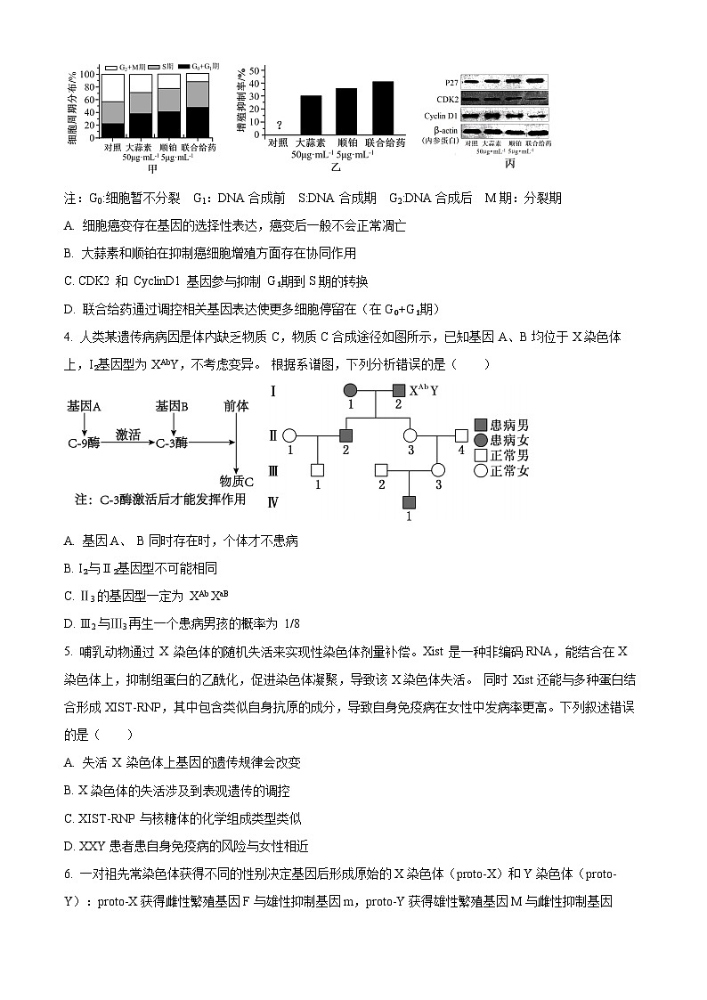 重庆市巴蜀中学2023-2024学年高三下学期3月高考适应性月考卷（七）生物试题无答案第2页