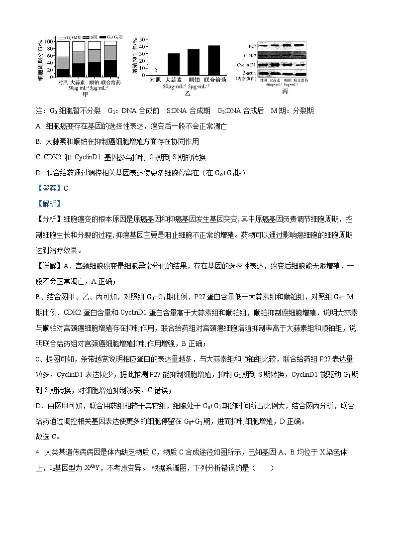重庆市巴蜀中学2023-2024学年高三下学期3月高考适应性月考卷（七）生物试题含解析第3页