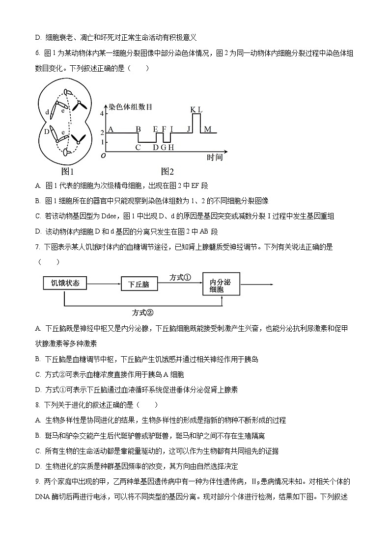 2024重庆市七校联盟高三下学期第一次月考生物试题含解析03